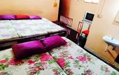 Туры в отель Pleasant Inn