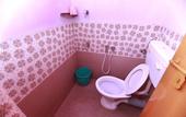 Туры в отель Pleasant Inn