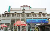 Туры в отель Hotel Green Castle (Heritage Hotel)