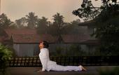 Туры в отель Niraamaya Retreats Backwaters & Beyond