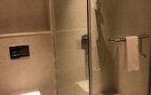 Туры в отель Grand Tamanna Hotel Hinjawadi Pune