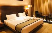 Туры в отель Grand Tamanna Hotel Hinjawadi Pune