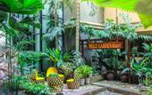 Туры в отель Mike Garden Resort