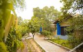 Туры в отель Nature Village Resort