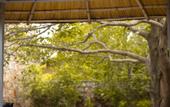 Туры в отель Nature Village Resort