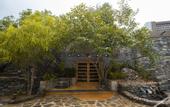 Туры в отель Nature Village Resort