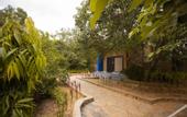 Туры в отель Nature Village Resort