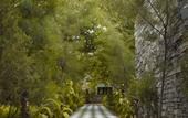Туры в отель Nature Village Resort