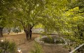 Туры в отель Nature Village Resort