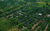Туры в отель Nature Village Resort