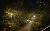 Туры в отель Nature Village Resort