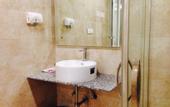 Туры в отель Hotel Sai Village Gurgaon