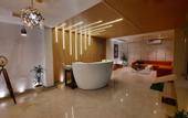 Туры в отель Hotel Sai Village Gurgaon