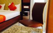 Туры в отель Hotel Sai Village Gurgaon