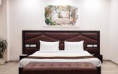 Туры в отель Hotel Sai Village Gurgaon