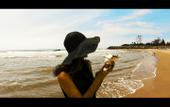 Туры в отель Four Points by Sheraton Mahabalipuram Resort & Convention Center
