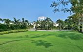 Туры в отель Four Points by Sheraton Mahabalipuram Resort & Convention Center