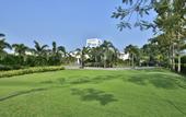 Туры в отель Four Points by Sheraton Mahabalipuram Resort & Convention Center
