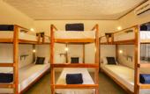 Туры в отель Locomo Hostel OG - Stay Work Eat
