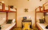 Туры в отель Locomo Hostel OG - Stay Work Eat