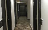 Туры в отель Hotel Orchid