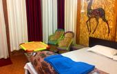 Туры в отель JJ's Village - Eco Resort