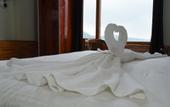 Туры в отель Hotel Taj View