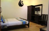 Туры в отель Hotel Swan Haveli