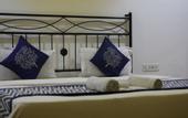 Туры в отель Hotel Swan Haveli