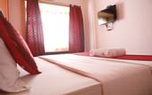 Туры в отель Hotel Swan Haveli