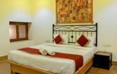 Туры в отель Hotel Swan Haveli