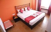 Туры в отель Hotel Swan Haveli