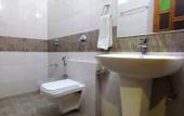 Туры в отель Hotel Swan Haveli