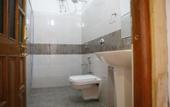 Туры в отель Hotel Swan Haveli