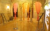 Туры в отель Hotel Swan Haveli