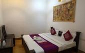 Туры в отель Hotel Swan Haveli