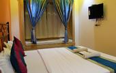 Туры в отель Hotel Swan Haveli
