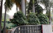 Туры в отель Aakritii Hotels