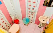 Туры в отель Skyard Hostel Rishikesh (Laxman Jhula)