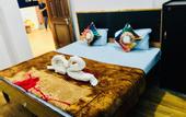 Туры в отель Skyard Hostel Rishikesh (Laxman Jhula)