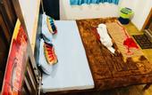 Туры в отель Skyard Hostel Rishikesh (Laxman Jhula)