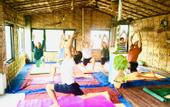 Туры в отель Skyard Hostel Rishikesh (Laxman Jhula)