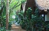 Туры в отель Milky Bay Resort