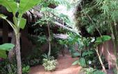 Туры в отель Milky Bay Resort