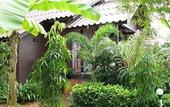 Туры в отель Milky Bay Resort