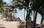 Туры в отель Milky Bay Resort
