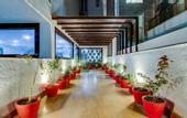 Туры в отель Treebo M2M Residency Sector 46