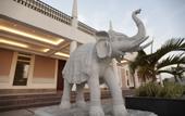 Туры в отель Hotel Pasricha