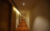 Туры в отель Hotel Pasricha