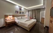 Туры в отель Hotel Pasricha
